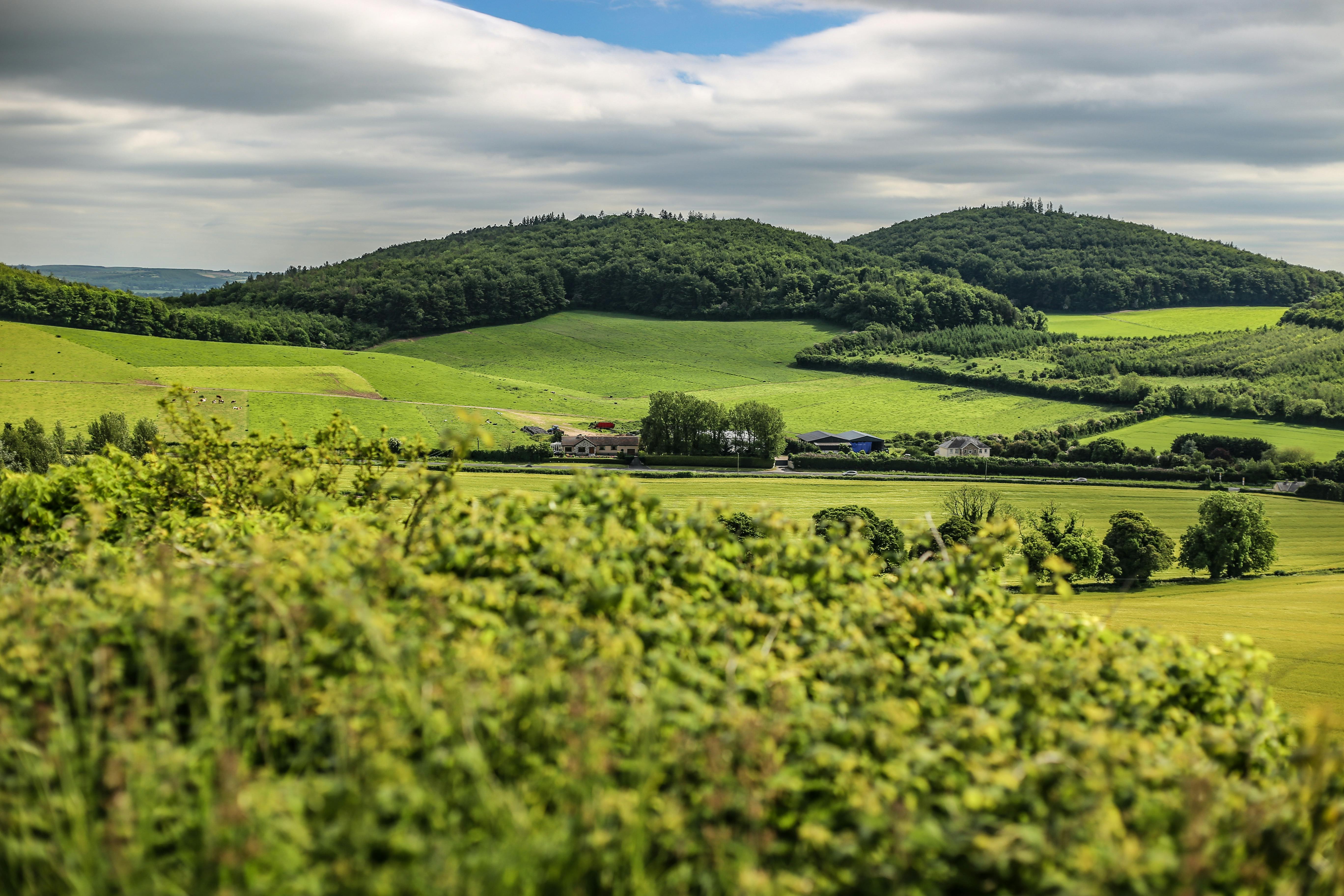 Looking forward to Bioeconomy Ireland Week 2025